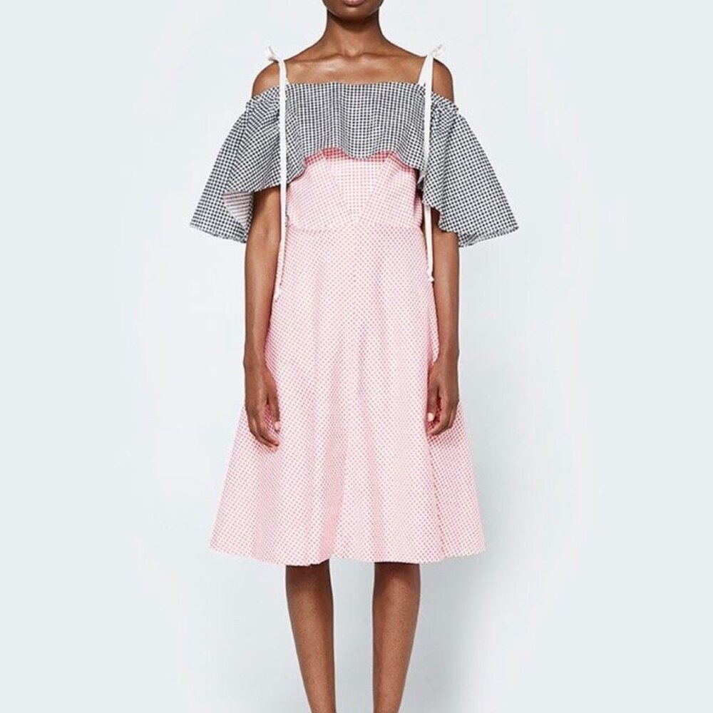 Eliza Faulkner Pink and Black Gingham Dress, size small